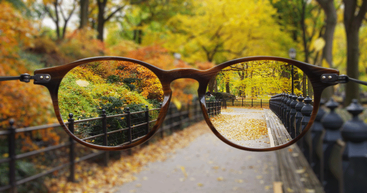Seeing Autumn - animation of leaves falling around eyeglasses